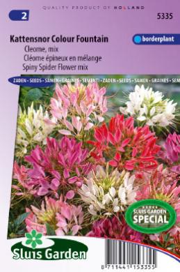 Spider Flower Colour Fountain (Cleome) 180 seeds