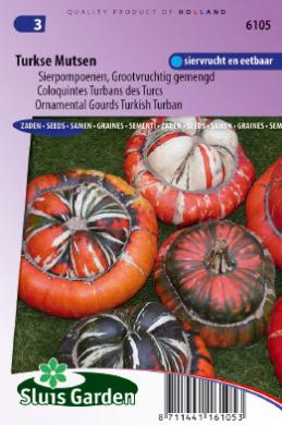 Pumpkin Turkish Turban (Cucurbita maxima) 20 seeds SL