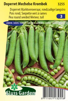 Markerbsen Mechelse Krombek (Pisum sativum) 325 Samen