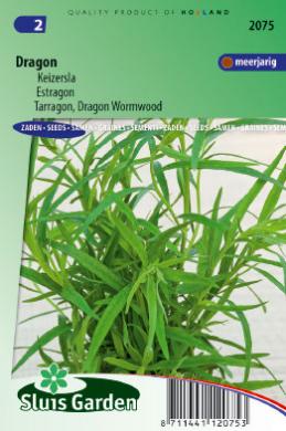 Tarragon (Artemisia dracunculus) 825 seeds