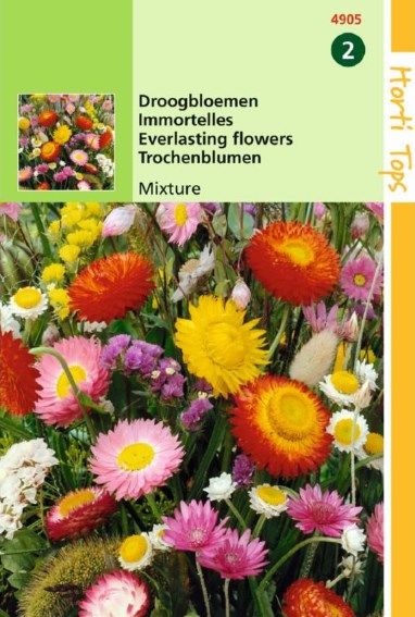 Mix everlasting flowers annual 1 Gramm