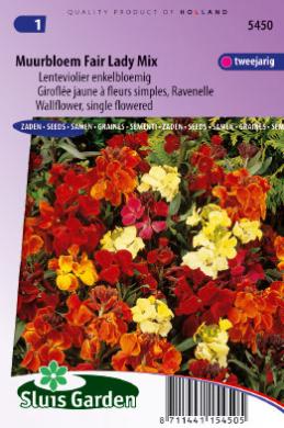 Wallflower Fair Lady Mix (Erysimum cheiri) 270 seeds