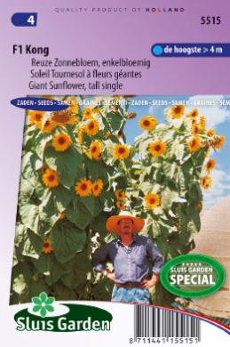 Sunflower Kong F1 (Helianthus) 18 seeds SL