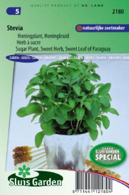 Honigkraut (Stevia rebaudiana) 20 Samen SL
