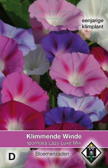 Morning Glory Lazy Luxe (Ipomoea) 85 seeds