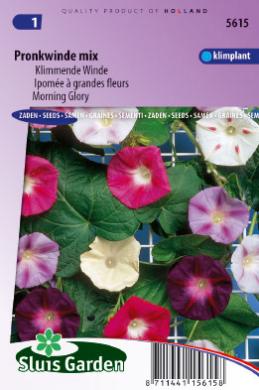 Prunkwinde Mix (Ipomoea tricolor) 75 Samen SL