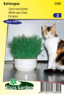 Cat Grass (Hordeum vulgare)  1500 seeds SL