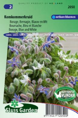 Borretsch Blau BIO (Borago officinalis) 35 Samen
