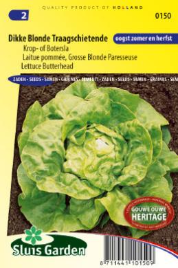 Lettuce Blond slow bolting (Lactuca sativa) 1000 seeds SL