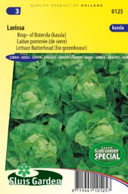Kropsla, botersla Larissa (Lactuca sativa) 165 zaden