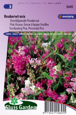 perennial peavine (Lathyrus) 55 seeds SL