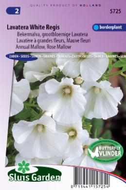 Bechermalve White Regis (Lavatera trimestris) 50 Samen