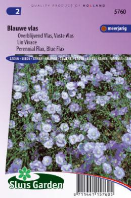 Perennial flax (Linum perenne) 325 seeds SL