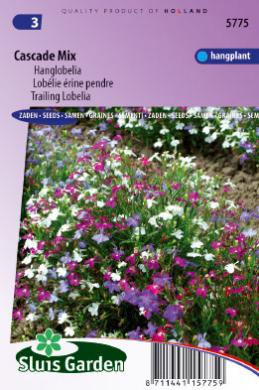 Hngende Mnnertreu Cascade (Lobelia pendula) 7500 Samen
