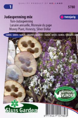 Einjhrige Silberblatt Mix (Lunaria) 65 Samen SL
