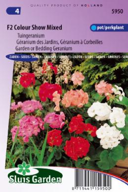 Palergonie Colour Show Mix F2 (Pelargonium hortorum) 32 Samen