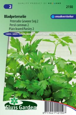 Parsley Plain (Petroselinum) 1200 seeds SL