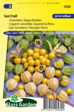 Ananaskers (Physalis peruviana) 400 zaden SL