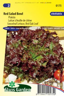 Lettuce Red Salad Bowl (Lactuca) 3000 seeds SL