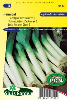 Prei (herfst) Hannibal (Allium porrum) 350 zaden SL