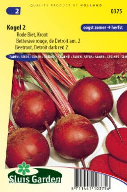 Beetroot Detroit 2 (Beta vulgaris) 650 seeds SL