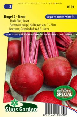 Beetroot Detroit 2 Nero (Beta vulgaris) 480 seeds SL