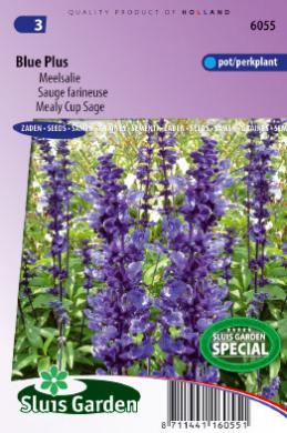Mealy Cup Sage Blue Plus (Salvia farinacea) 100 seeds