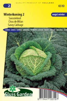 Savoy cabbage Winter King 2 (Brassica) 320 seeds SL