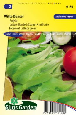 Lettuce Looseleaf Green (Lactuca sativa) 6500 seeds SL