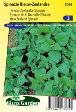 Nieuw Zeelandse spinazie (Tetragonia) 375 zaden SL