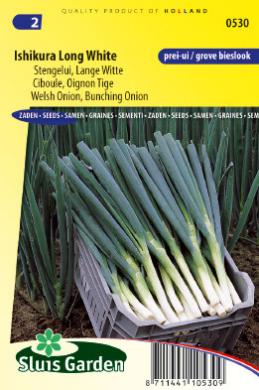 Stengelui Ishikura (Allium fistulosum) 550 zaden SL