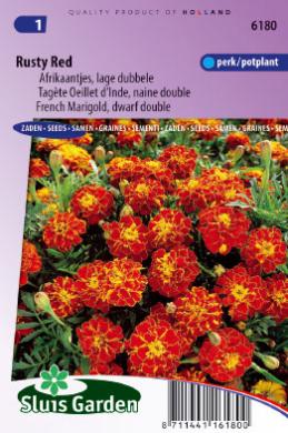 Laag Afrikaantje Rusty Red (Tagetes patula) 165 zaden
