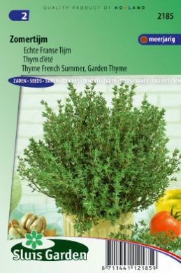 Thymiane Sommer, Franzsisch Thymiane (Thymus) 1000 Samen SL