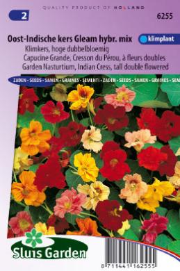 Garden Nasturtium Gleam Hybrids Mix (Tropaeolum) 32 seeds SL