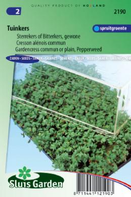 Gartenkresse einfache (Lepidium sativum) 4000 Samen SL