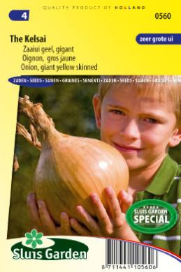 Giant onion The Kelsai (Allium cepa) 175 seeds