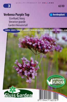 Vervain Purple Top (Verbena) 600 seeds