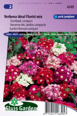 IJzerhard Ideal Florist (Verbena) 140 zaden SL