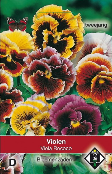 Veilchen Rococo (Viola Wittrockiana)