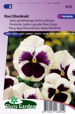Violet, Pansy Silverbride (Viola wittrockiana) 160 seeds SL