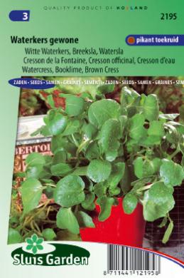 Watercress (Nasturtium officinale) 3200 seeds SL