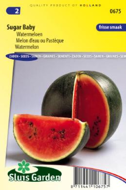 Wassermelone Sugar Baby (Citrullus lanatus) 35 Samen SL