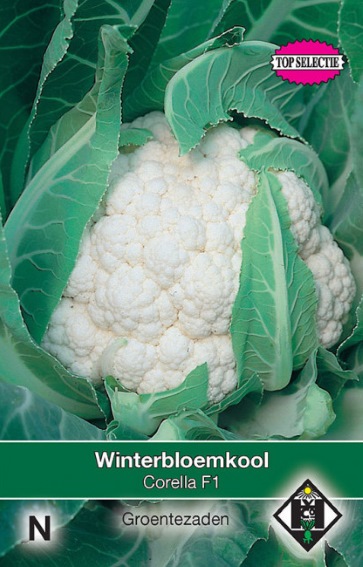 Cauliflower Corella F1 (Brassica) 25 seeds