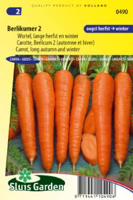 Winter carrot Berlikumer (Daucus) 4000 seeds SL