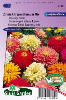 Zinnia elegans Chrysanthemum Mix (Zinnien) - 100 Samen SL